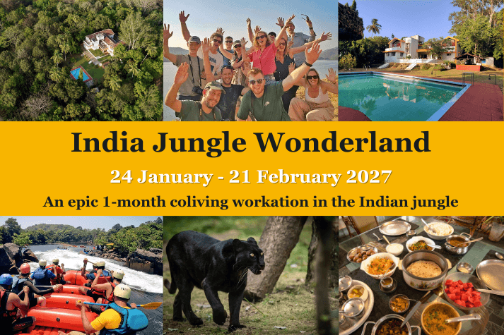 India Jungle Wonderland