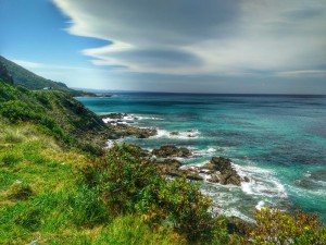 Ginger Around The World in Sydney