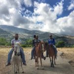 Horses at lake Qaraoun