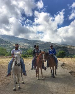 Horses at lake Qaraoun