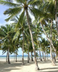 South Palms Resort Bohol