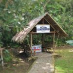 Tarsier tourist bohol