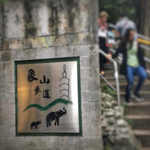 48 hours in Taipei Taiwan Elephant Mountain