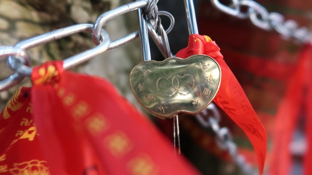 Luhuitou Park Sanya love trees