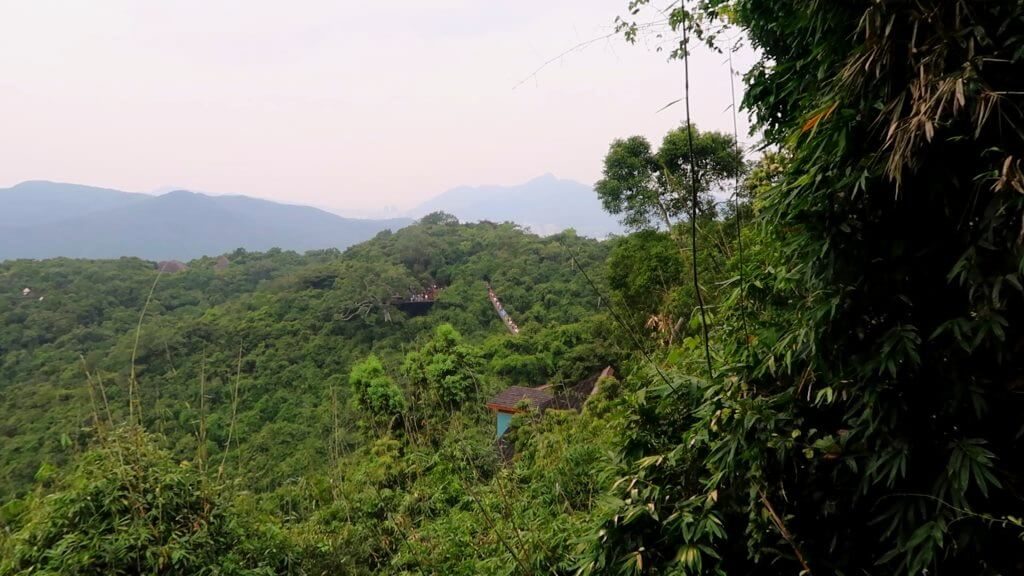 Yalong Bay Tropical Paradise Forest Park rope bridge bridge far