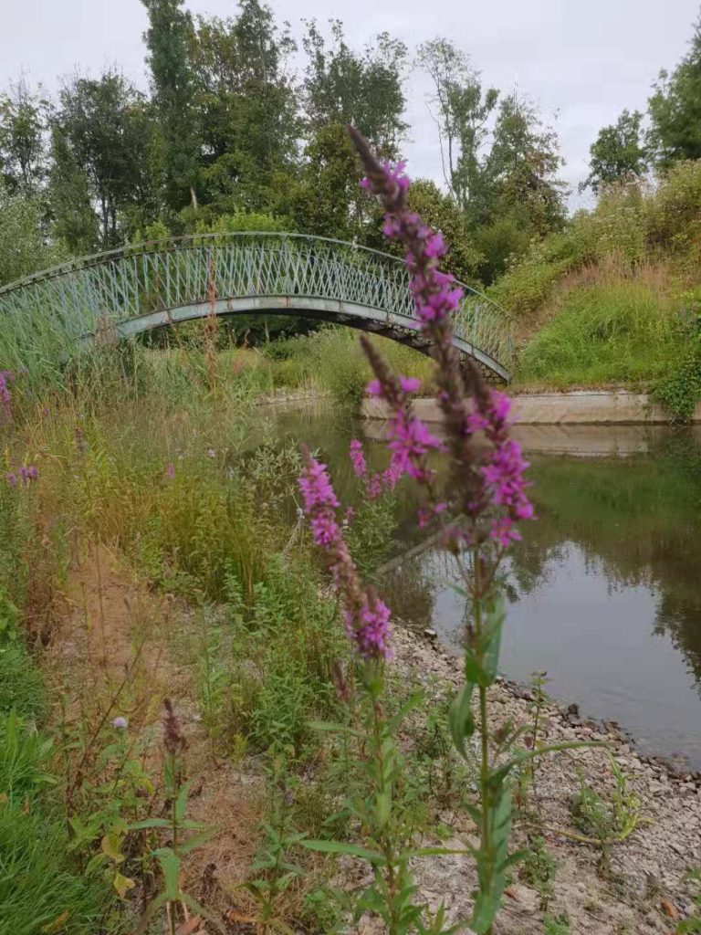 Chateau de seneffe garden bridge2